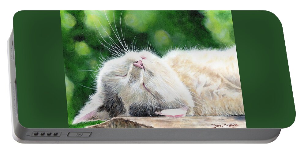 Cat Portable Battery Charger featuring the painting Catnap by John Neeve