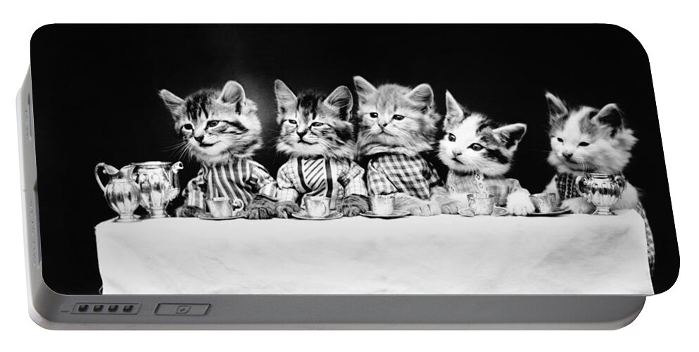 Tea Party Portable Battery Charger featuring the photograph Cats Having Tea - A Hungry Bunch - Harry Whittier Frees by War Is Hell Store