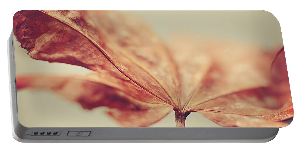 Rust Colored Portable Battery Charger featuring the photograph Central Focus by Michelle Wermuth