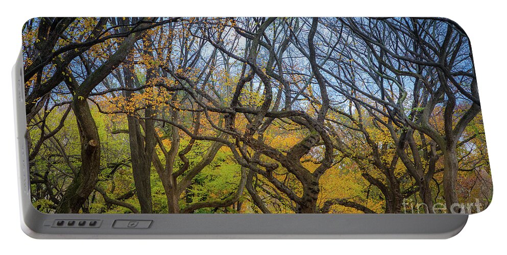 America Portable Battery Charger featuring the photograph Central Park Twisted Trees by Inge Johnsson