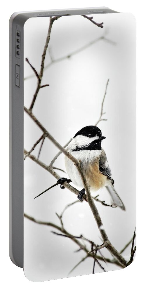 Chickadee Portable Battery Charger featuring the photograph Charming Winter Chickadee by Christina Rollo