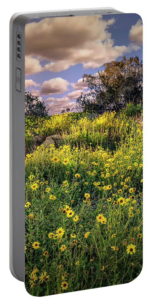 Chatsworth Portable Battery Charger featuring the photograph Chatsworth Wildflower Bloom by Endre Balogh