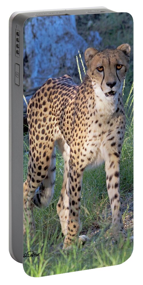 Nature Portable Battery Charger featuring the photograph Cheetah by David Salter
