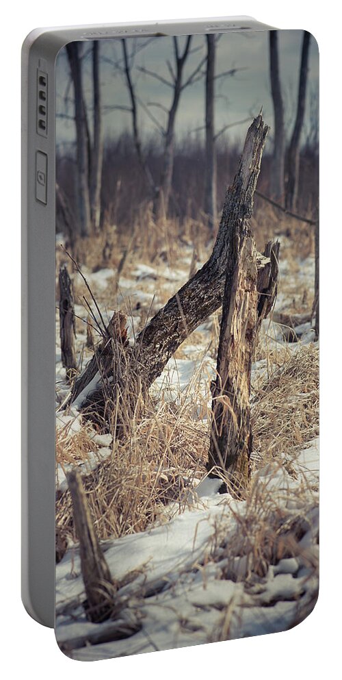 Winterpacht Portable Battery Charger featuring the photograph Chicago Forest by Miguel Winterpacht