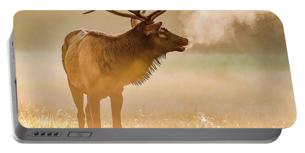 Elk Portable Battery Charger featuring the photograph Frosty Bugle Breath by Marcy Wielfaert
