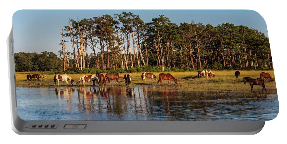 Grass Portable Battery Charger featuring the photograph chincoteague Island ponies by Louis Dallara