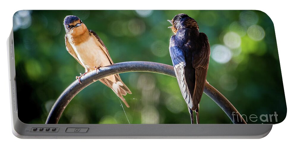 Barn Portable Battery Charger featuring the photograph Chirping by Cheryl McClure
