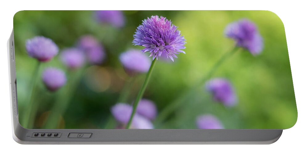 Chives Portable Battery Charger featuring the photograph Chive Blossoms by Jani Freimann