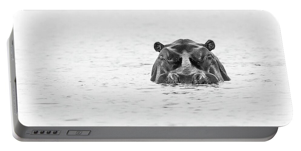  S Africa Portable Battery Charger featuring the photograph Chobe River Hippo by Timothy Hacker