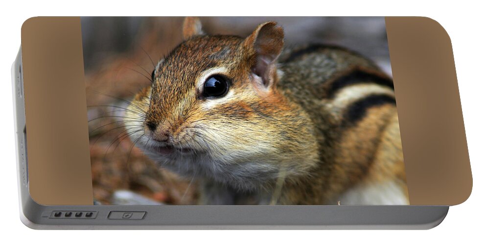 Chipmunk Portable Battery Charger featuring the photograph Chubby Cheeks by Jane Axman