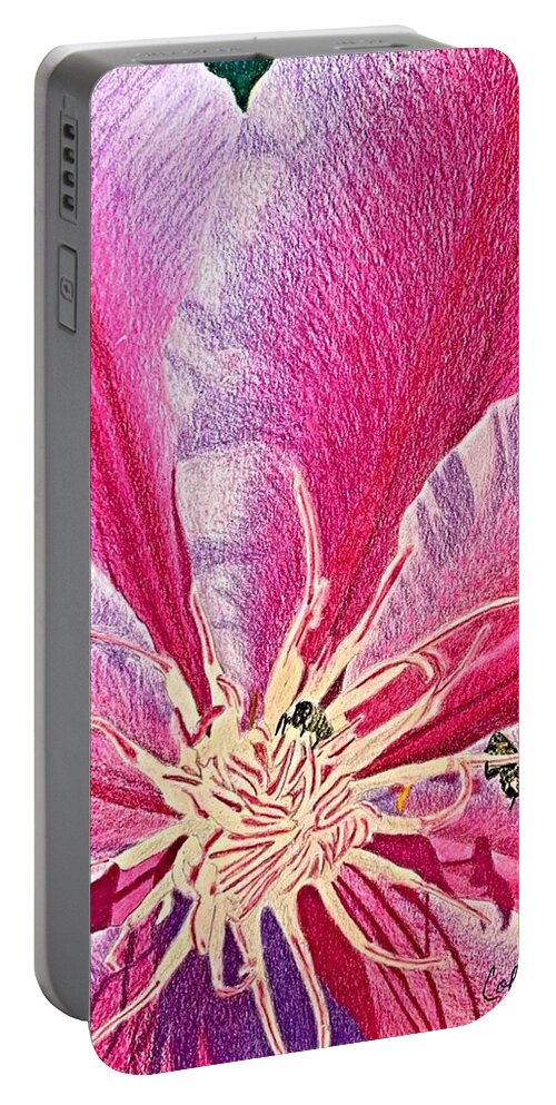 Pink Portable Battery Charger featuring the drawing Clematis by Colette Lee