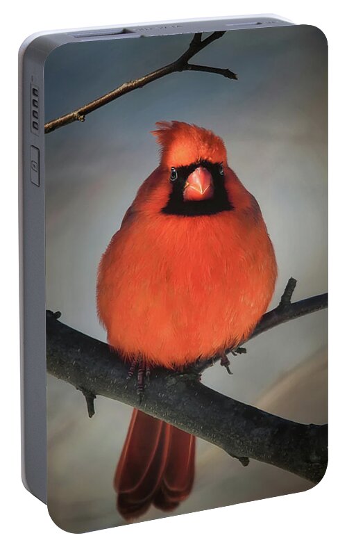 Cardinal Portable Battery Charger featuring the photograph Close Encounter On A Blustery Day by Lois Bryan