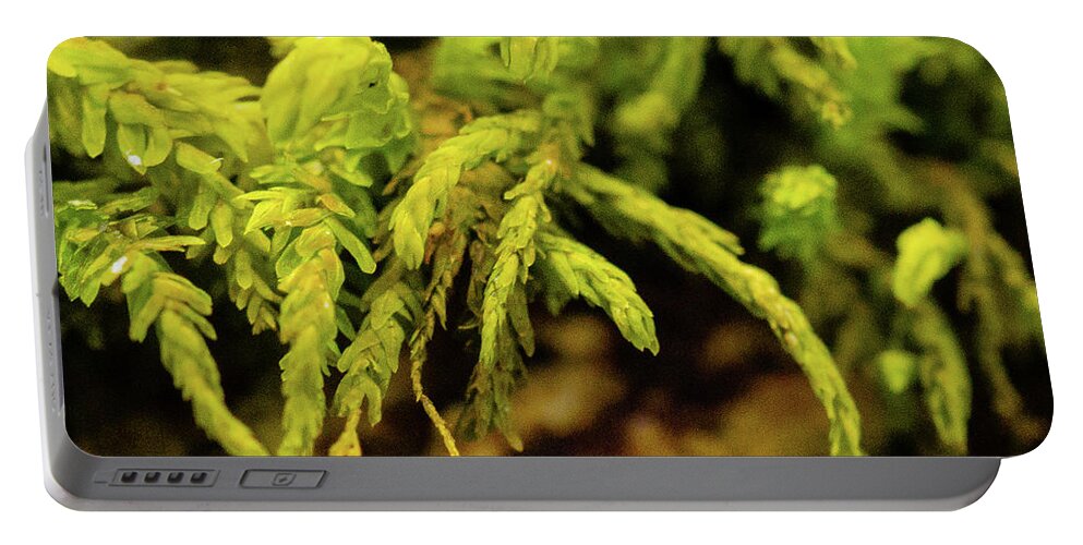 Lake Of The Ozarks Portable Battery Charger featuring the photograph Close-up of Moss by Al Griffin