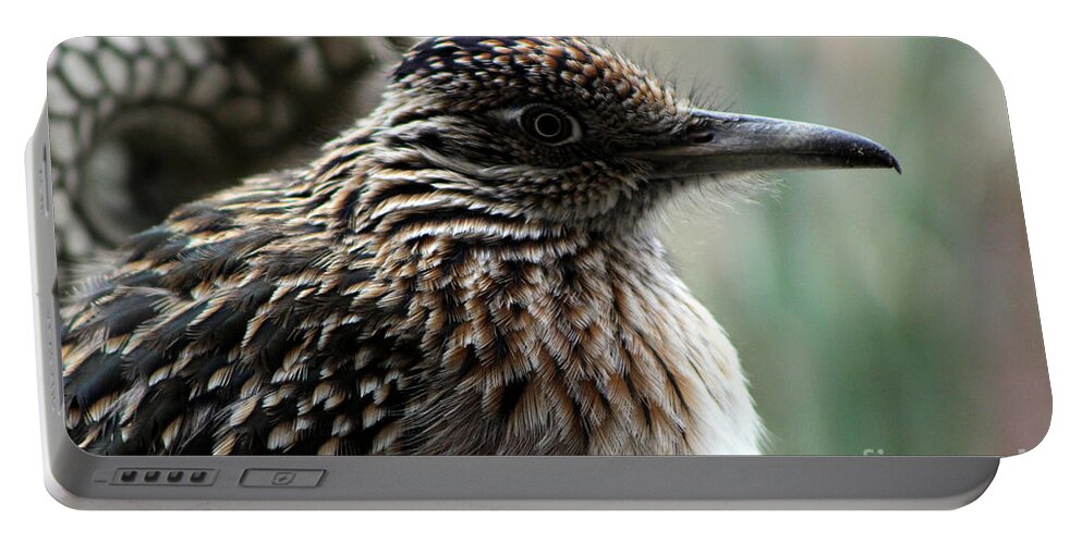 Roadrunner Portable Battery Charger featuring the photograph Closeup of Road Runner by Dragon in Palm Desert by Colleen Cornelius