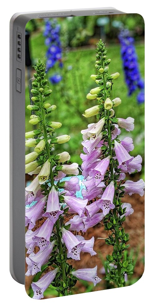 Flowers Portable Battery Charger featuring the photograph Cocklebells by Portia Olaughlin