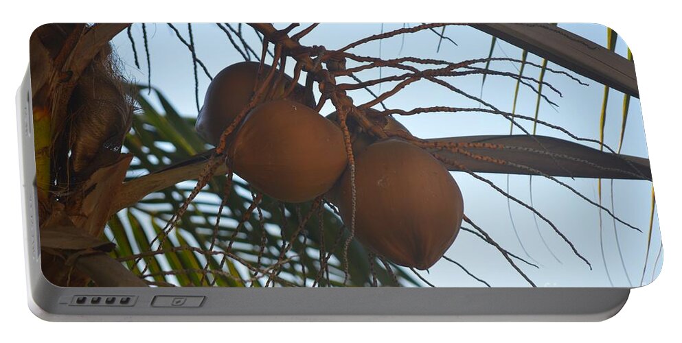 Aicy Portable Battery Charger featuring the photograph Coconuts by Aicy Karbstein