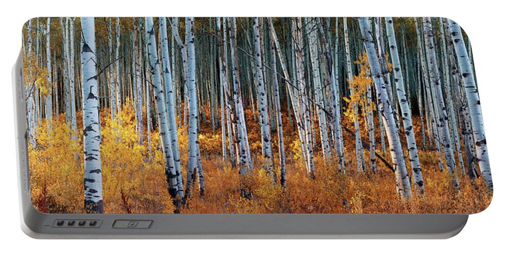 Olena Art Portable Battery Charger featuring the photograph Colorado Autumn Wonder Panorama by OLena Art