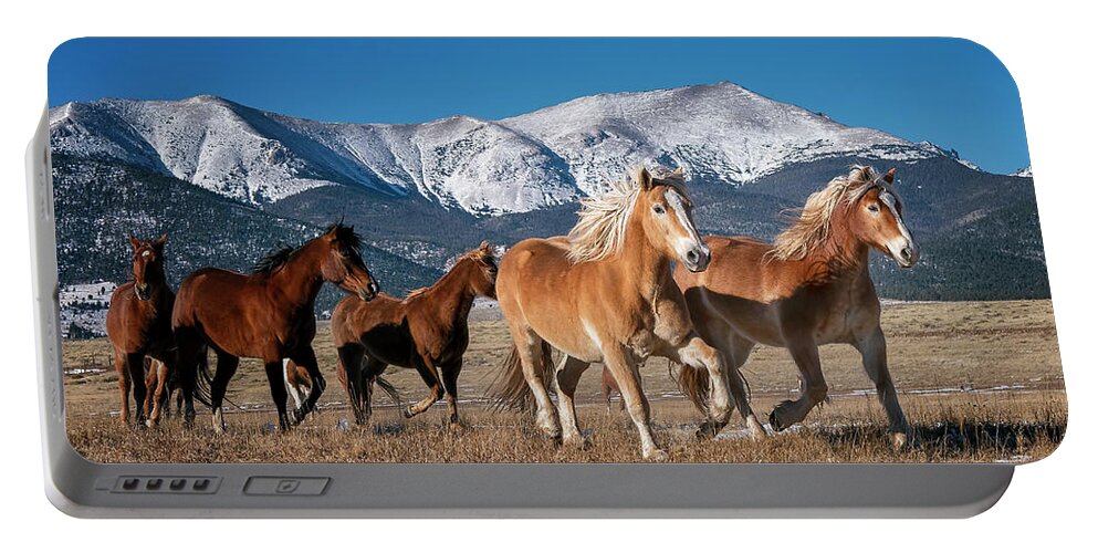Horse Portable Battery Charger featuring the photograph Colorado Horses 2 by David Soldano