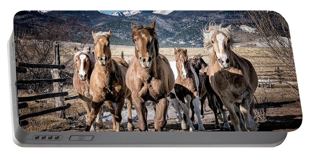Horses Portable Battery Charger featuring the photograph Colorado Horses by David Soldano