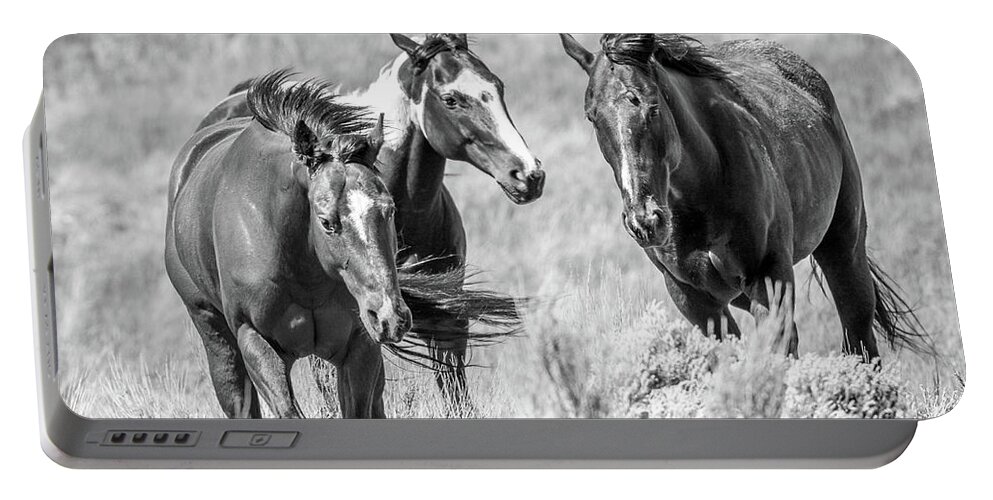 Grosbeak Portable Battery Charger featuring the photograph Colorado's Finest by Kevin Dietrich