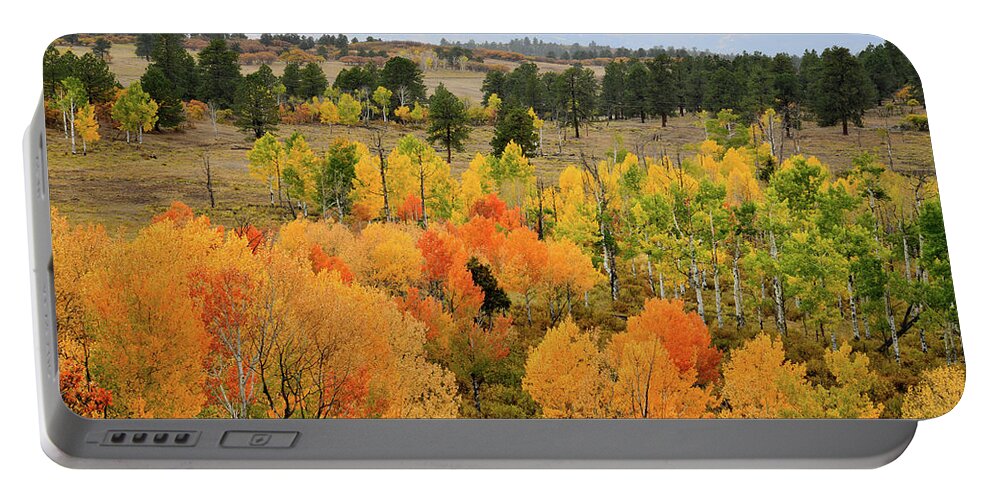 Ouray Portable Battery Charger featuring the photograph Colorful Aspens above Ridgway Colorado by Ray Mathis