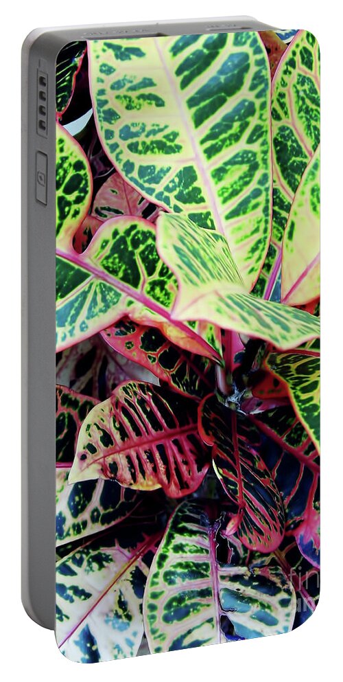 Croton Portable Battery Charger featuring the photograph Colorful - Croton - Plant by D Hackett