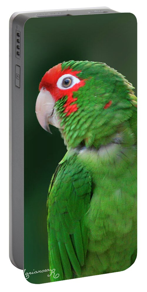 Nature. Fauna Portable Battery Charger featuring the photograph Colorful Profile by Mariarosa Rockefeller