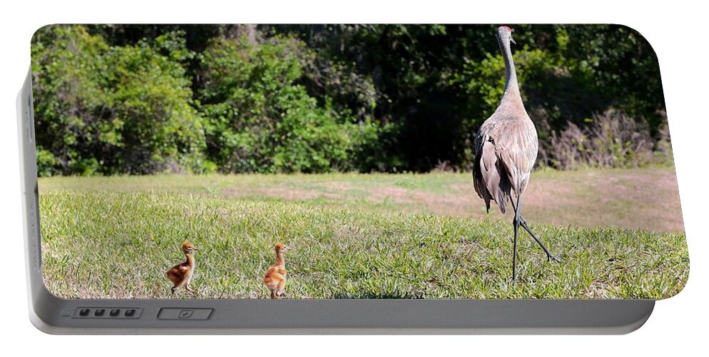 Sandhill Cranes Portable Battery Charger featuring the photograph Come Along Sandhill Crane Colts by Carol Groenen