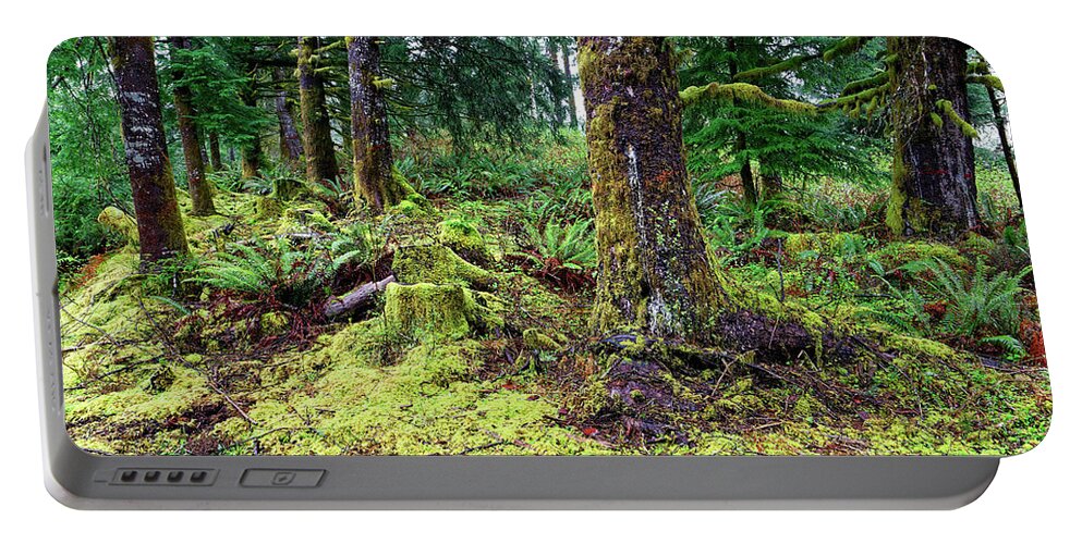 Close Up Portable Battery Charger featuring the photograph Conifer forest understory close up yellow green moss covering gr by Robert C Paulson Jr