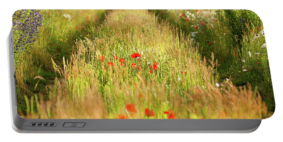 Converging Portable Battery Charger featuring the photograph Converging tracks in a flower meadow by Simon Bratt