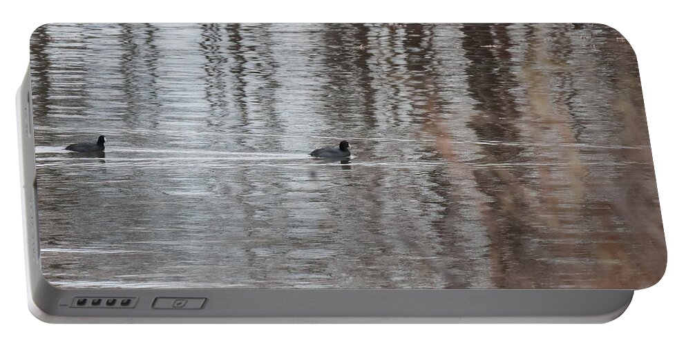 Coot Portable Battery Charger featuring the photograph Coot 3942 by John Moyer