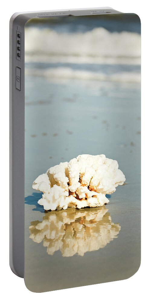 Coral Portable Battery Charger featuring the photograph Coral Reflection by Susan Bryant