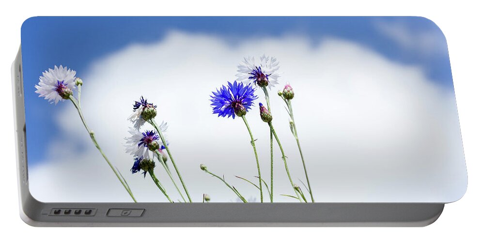 Floral Portable Battery Charger featuring the photograph Cornflowers by Tanya C Smith