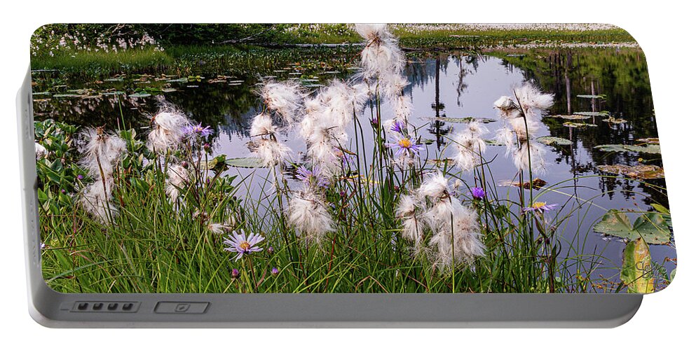 Landscapes Portable Battery Charger featuring the photograph Cotton Grass by Claude Dalley