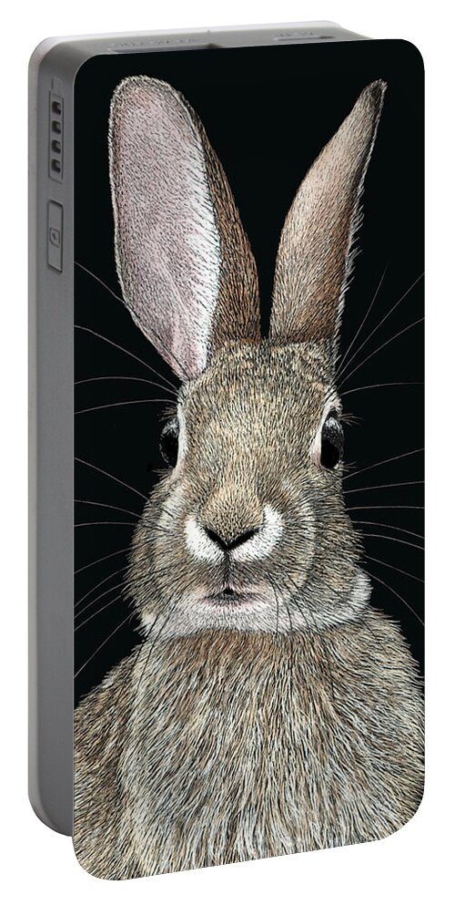 Rabbit Portable Battery Charger featuring the drawing Cottontail by Ann Ranlett