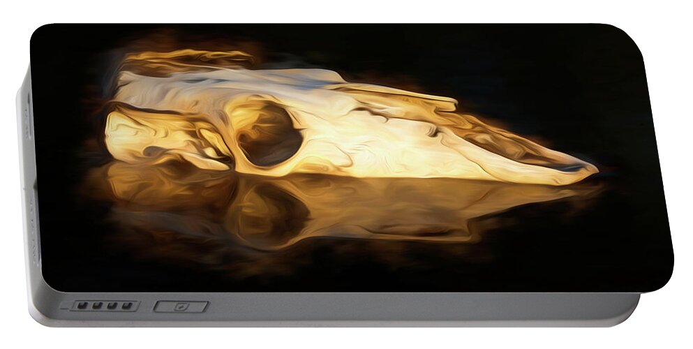 Kansas Portable Battery Charger featuring the photograph Cow Skull 003 by Rob Graham