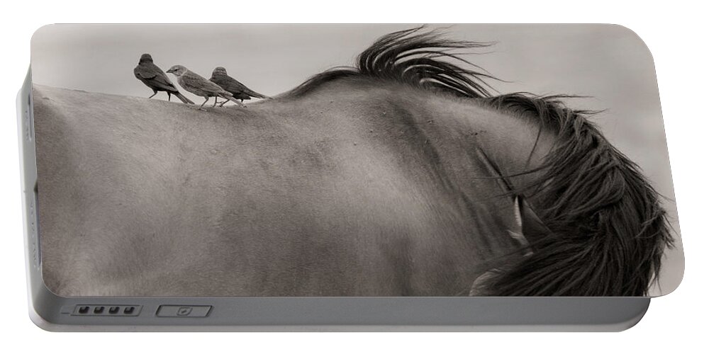  Portable Battery Charger featuring the photograph Cowbirds on horseback by Dirk Johnson