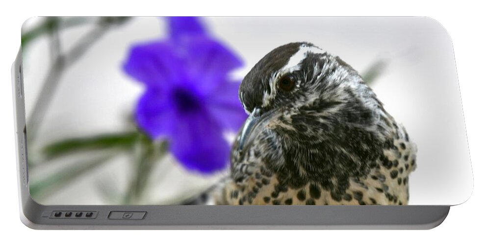 Cactus Portable Battery Charger featuring the photograph Coy Cactus Wren by Sonja Jones