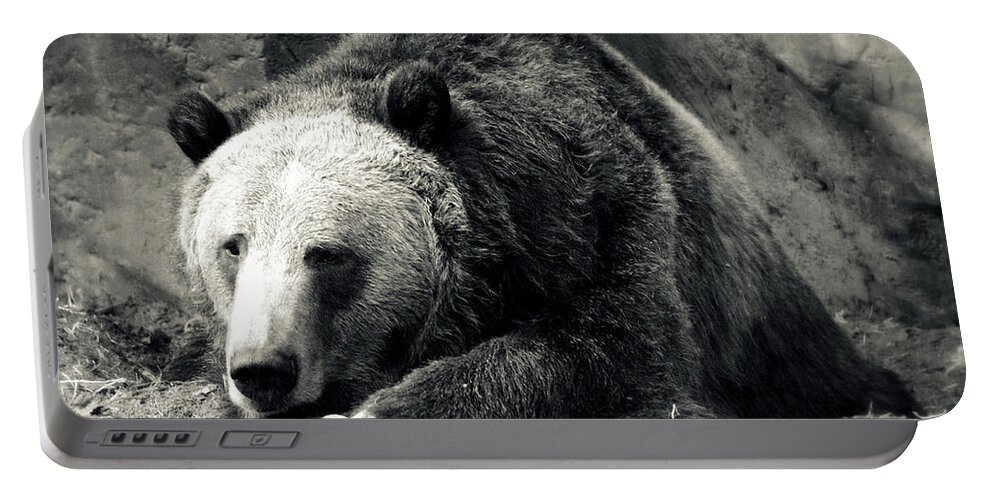 Bear Portable Battery Charger featuring the photograph Cozy Yet Deadly - Grizzly Bear by Glenn McCarthy Art and Photography