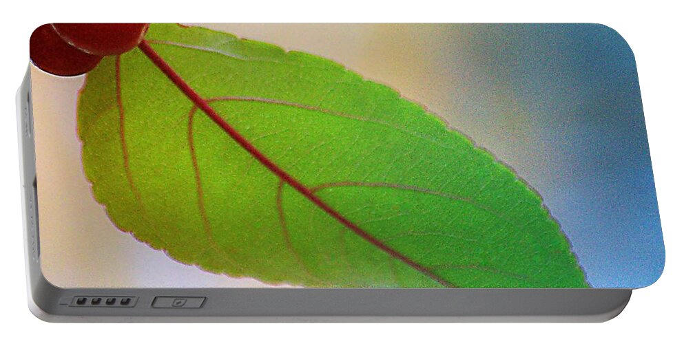 Art Portable Battery Charger featuring the photograph Crabapple Leaf by Joan Han