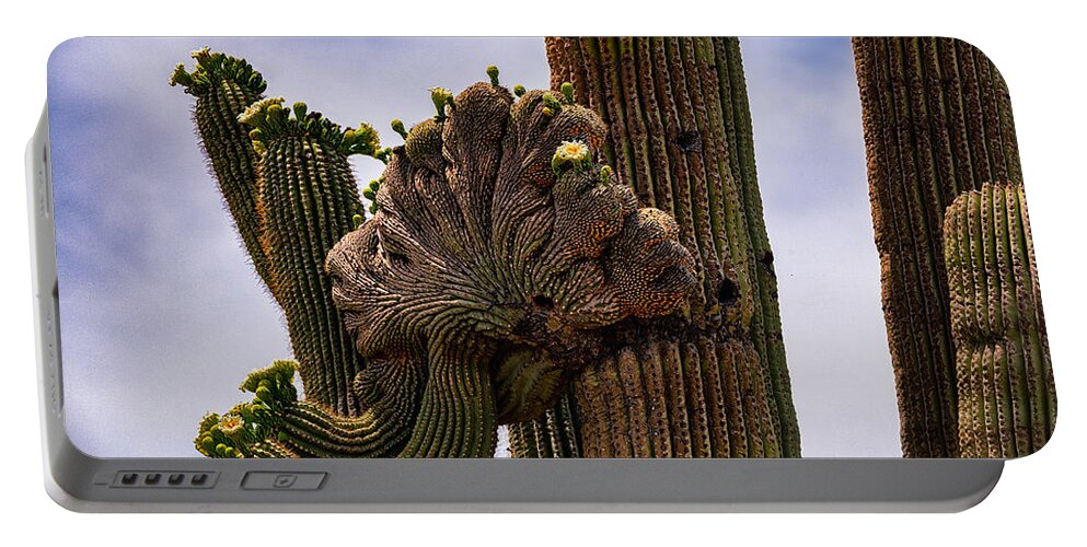 Crested Saguaro Portable Battery Charger featuring the photograph Crested by Saija Lehtonen