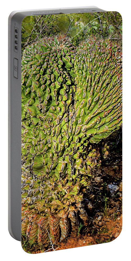 Crested Portable Battery Charger featuring the photograph Cristate Barrel Cactus v1645 by Mark Myhaver