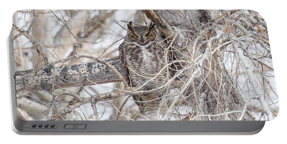 Owl Portable Battery Charger featuring the photograph Cross Eyed Great Horned Owl by Tony Hake