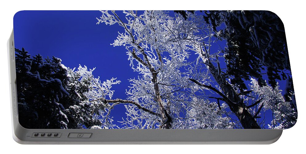 Snow Portable Battery Charger featuring the photograph Crystal Lattice by Rockybranch Dreams