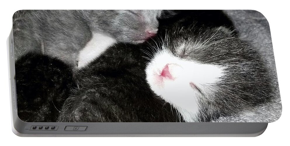 Kitten Portable Battery Charger featuring the photograph Cuddling Kittens by Ally White