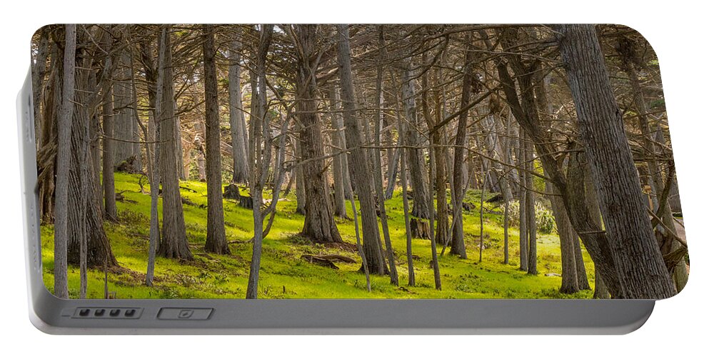 Forest Portable Battery Charger featuring the photograph Cypress Grove by Derek Dean