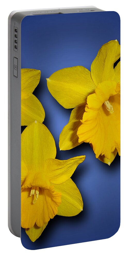 Daffodils Portable Battery Charger featuring the photograph Daffodil Trio by Tara Hutton