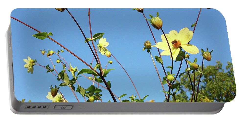 Dahlia Portable Battery Charger featuring the photograph Dahlia 11 by Amy E Fraser