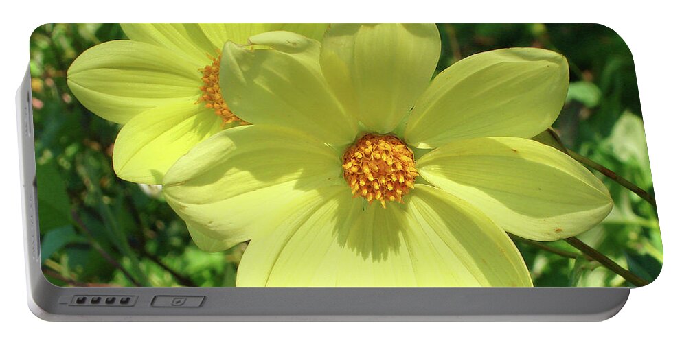 Dahlia Portable Battery Charger featuring the photograph Dahlia 3 by Amy E Fraser