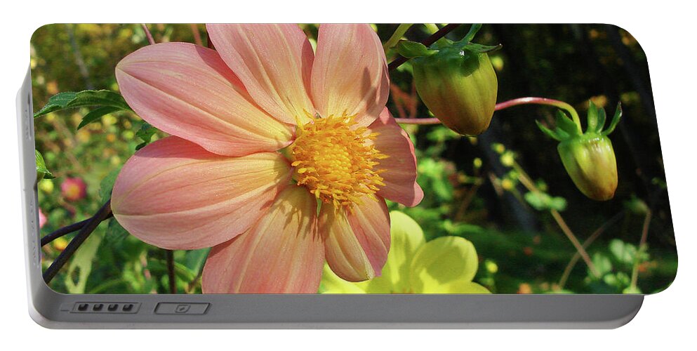 Dahlia Portable Battery Charger featuring the photograph Dahlia 5 by Amy E Fraser
